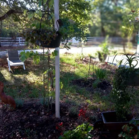 Bed and Breakfast Les Oiseaux Voyageurs Carcans